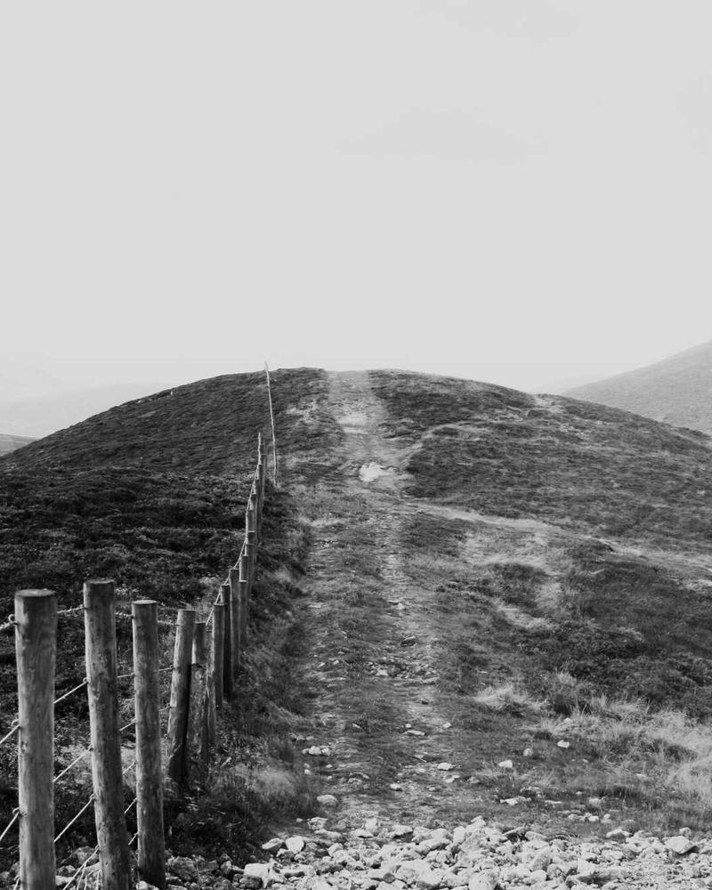 Chemin dans un paysage monochrome